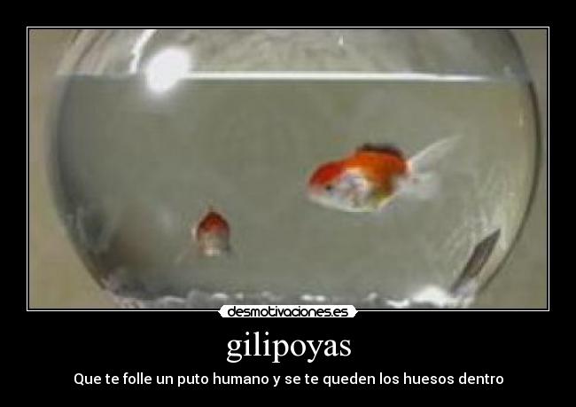 gilipoyas -