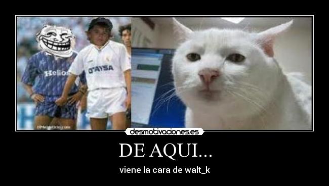 carteles belmonte desmotivaciones