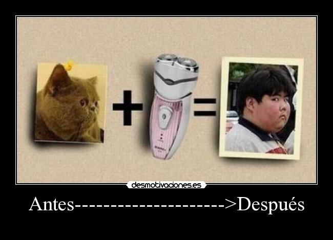Antes--------------------->Después -