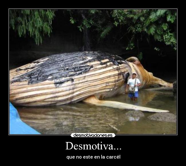 Desmotiva... - que no este en la carcél