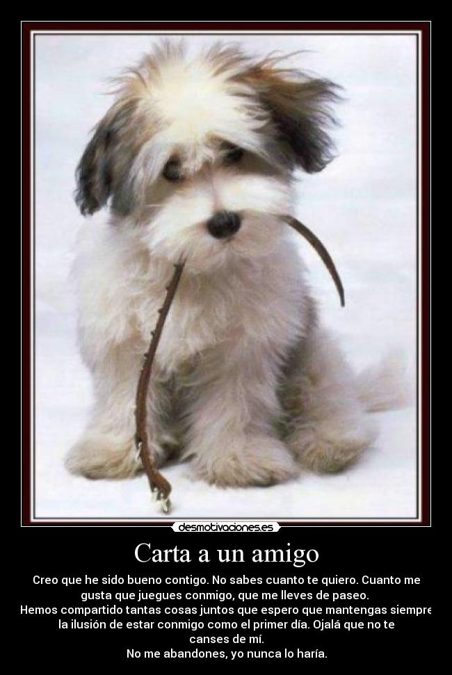 Carta a un amigo -