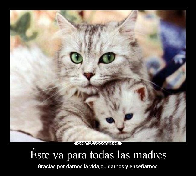 carteles madres desmotivaciones