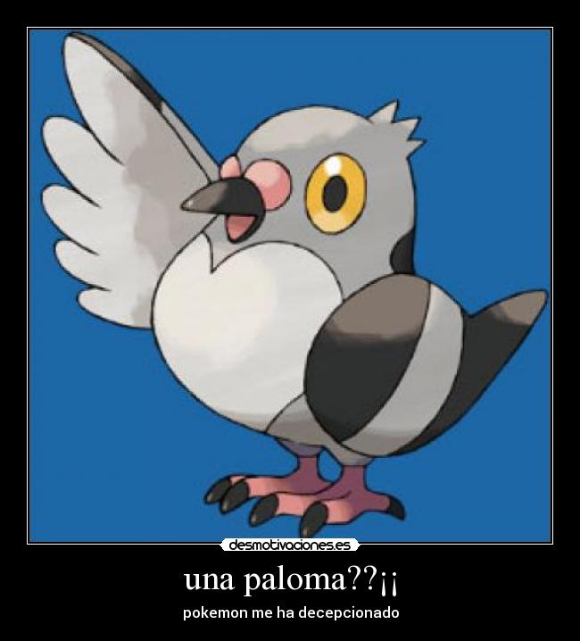 una paloma??¡¡ - pokemon me ha decepcionado