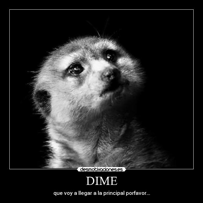 DIME -