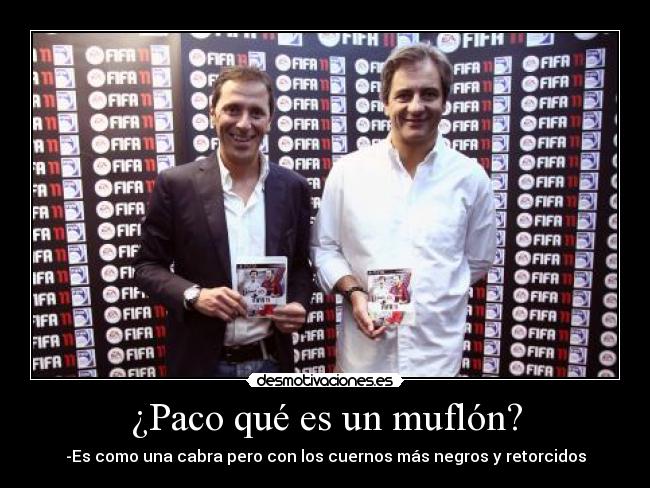 carteles fifa desmotivaciones