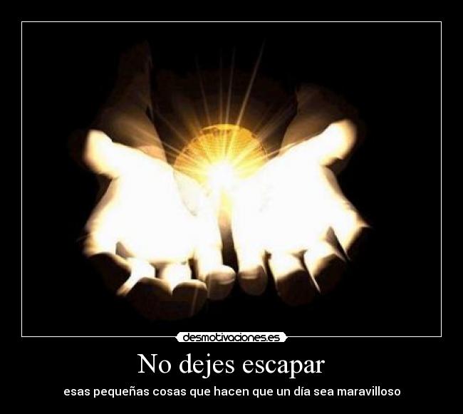 No dejes escapar - 