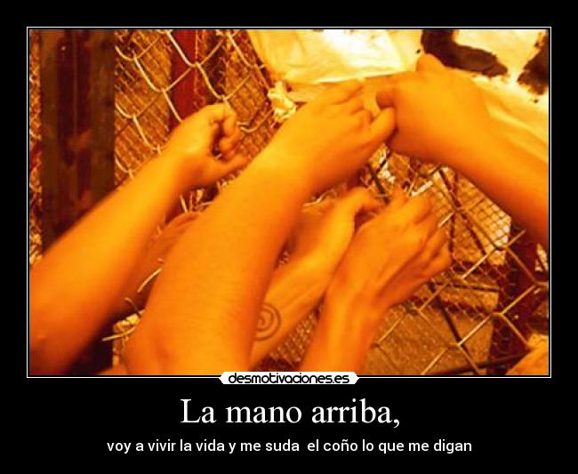 La mano arriba, - voy a vivir la vida y me suda el coño lo que me digan
