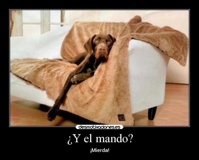 ¿Y el mando? - ¡Mierda!