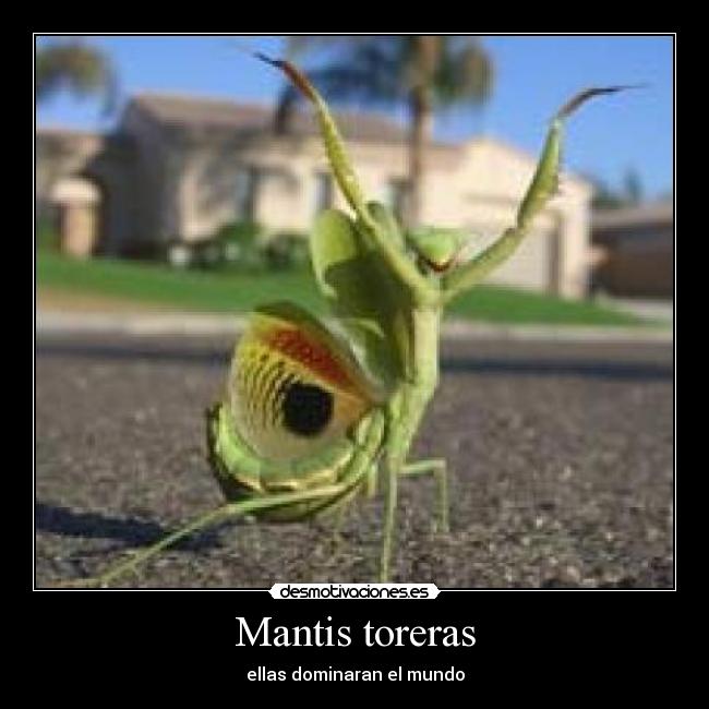 carteles juanka13lopez desmotivaciones