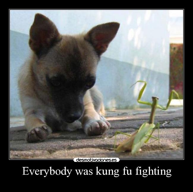Everybody was kung fu fighting -