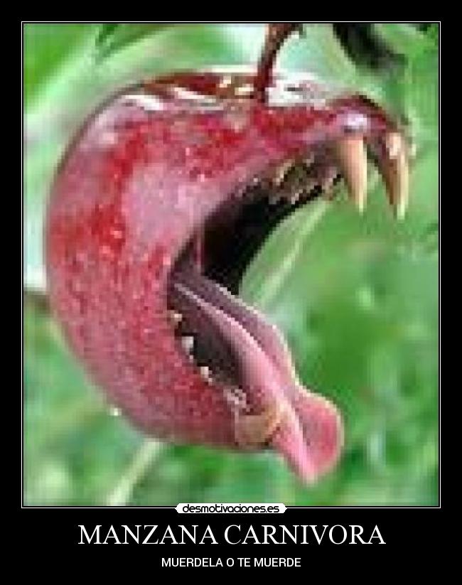MANZANA CARNIVORA -