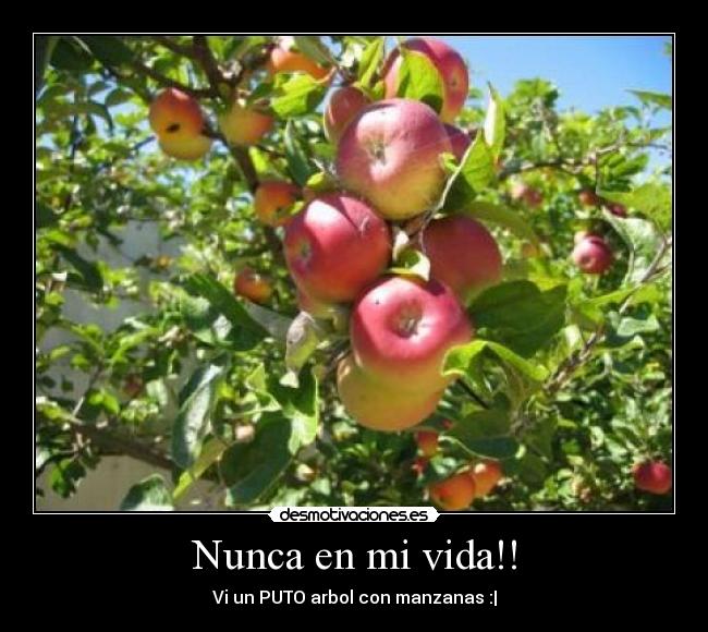 Nunca en mi vida!! - 