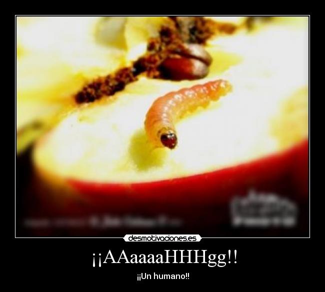¡¡AAaaaaHHHgg!! - ¡¡Un humano!!