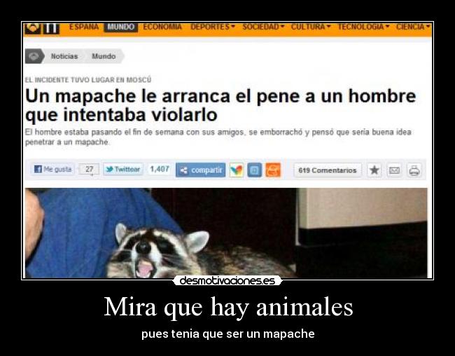 carteles animales desmotivaciones