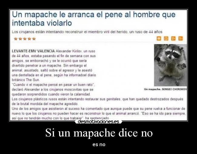 Si un mapache dice no -
