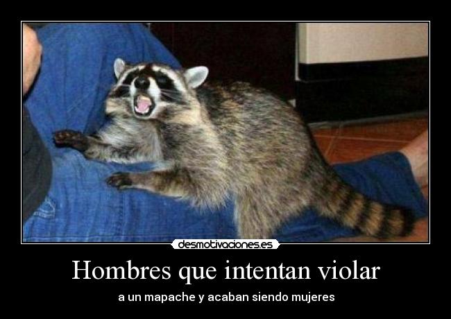 Hombres que intentan violar - a un mapache y acaban siendo mujeres