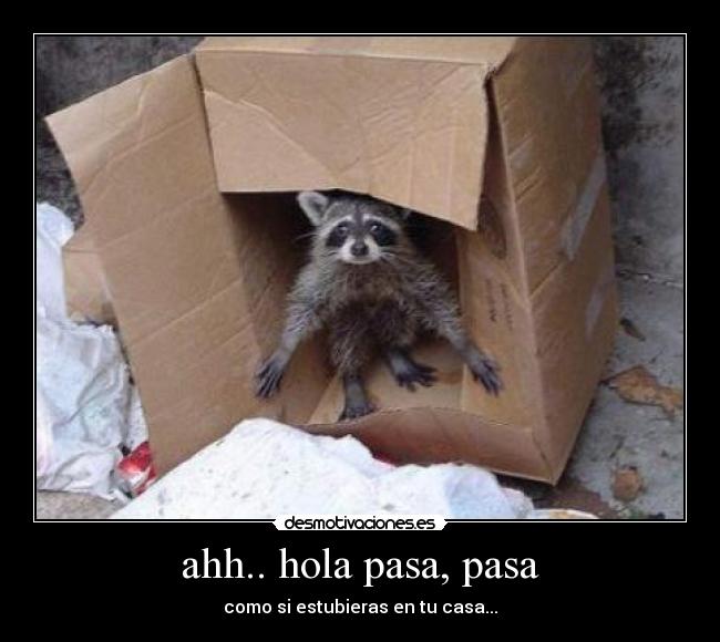 ahh.. hola pasa, pasa -