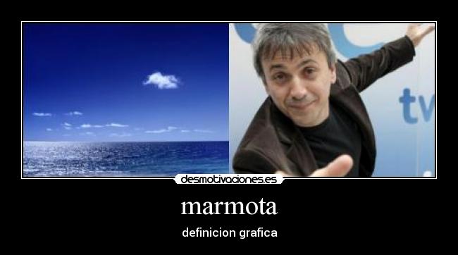 marmota -