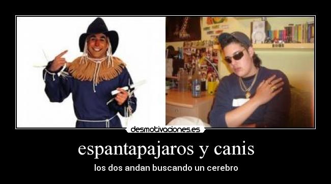 carteles espantapajaros canis desmotivaciones