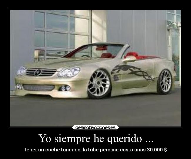 Yo siempre he querido ... - 