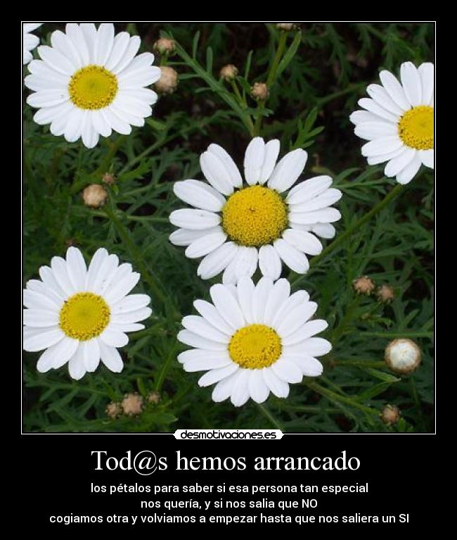 carteles amores desmotivaciones