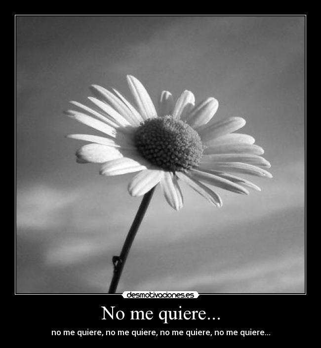 No me quiere... - 