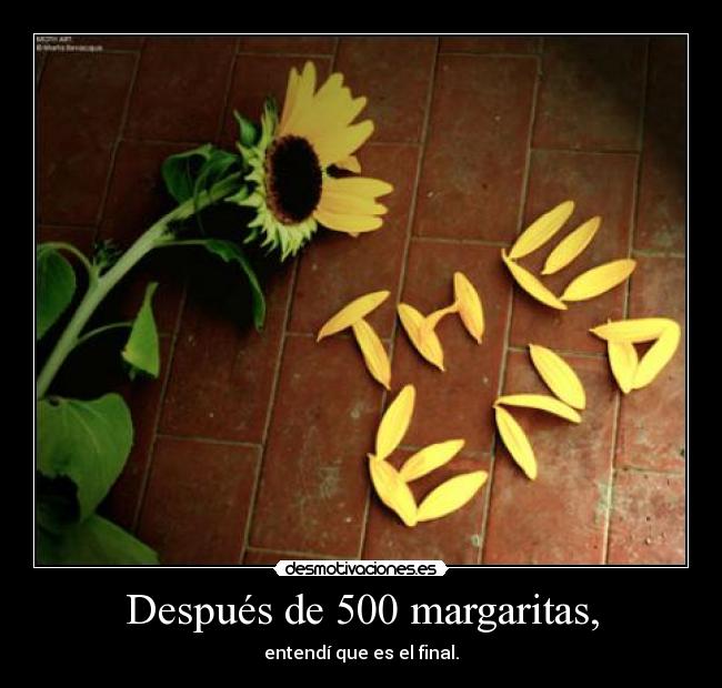 Después de 500 margaritas, - entendí que es el final.