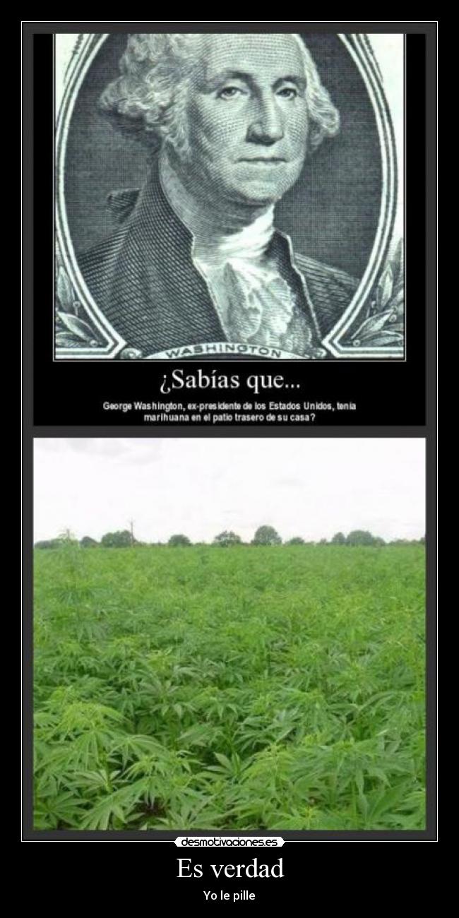 Es verdad - Yo le pille