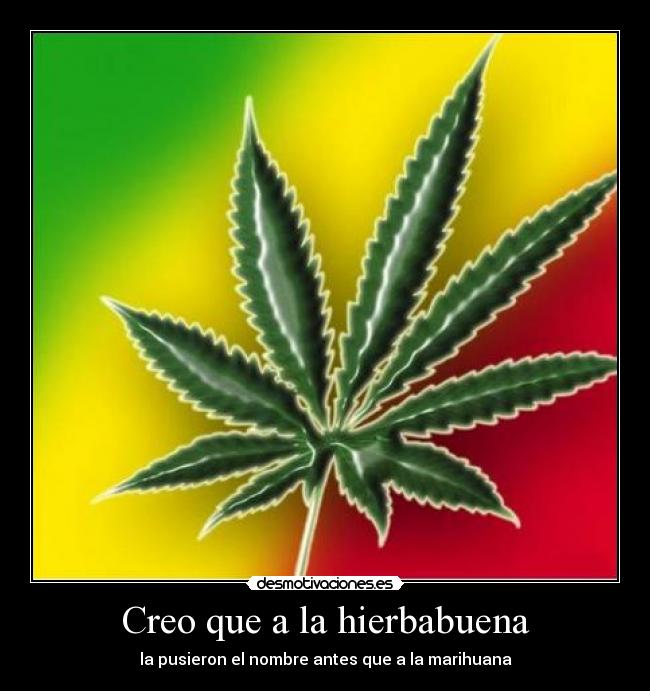 Creo que a la hierbabuena - la pusieron el nombre antes que a la marihuana