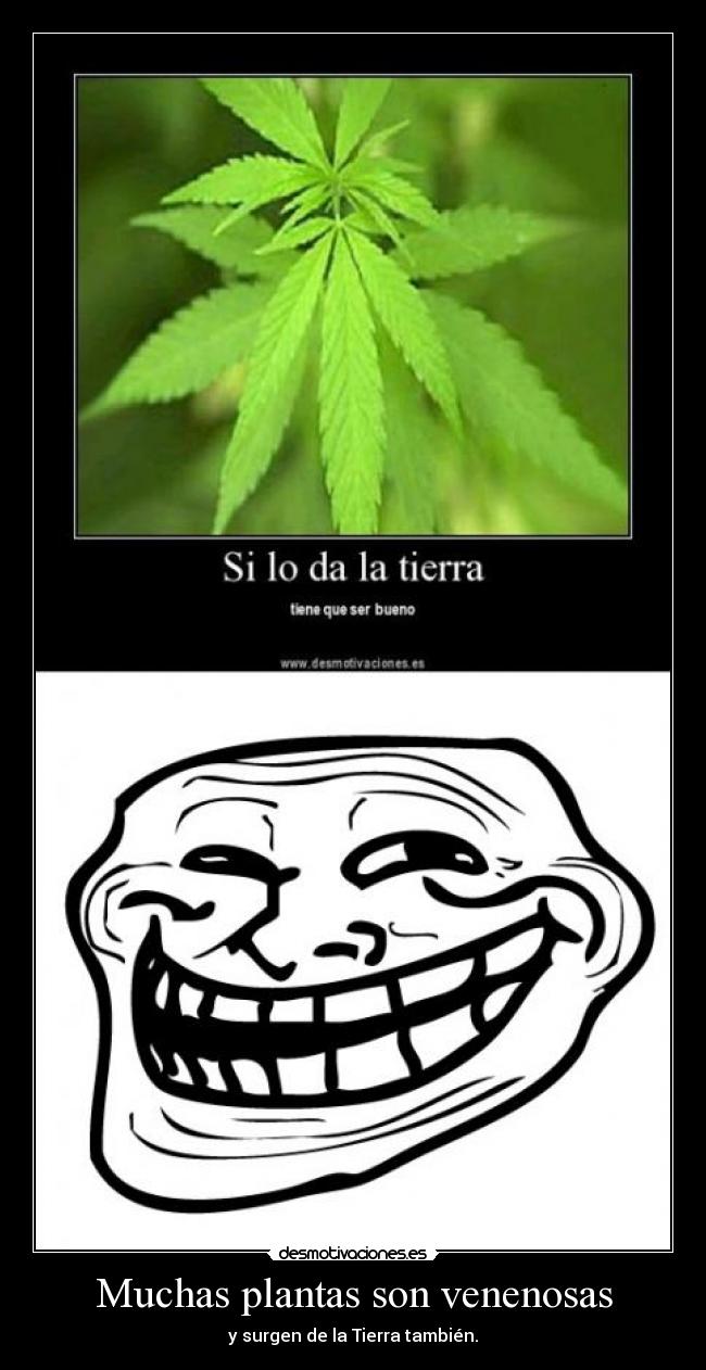 Muchas plantas son venenosas - y surgen de la Tierra también.