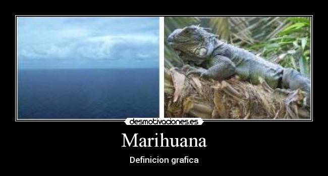 Marihuana - Definicion grafica