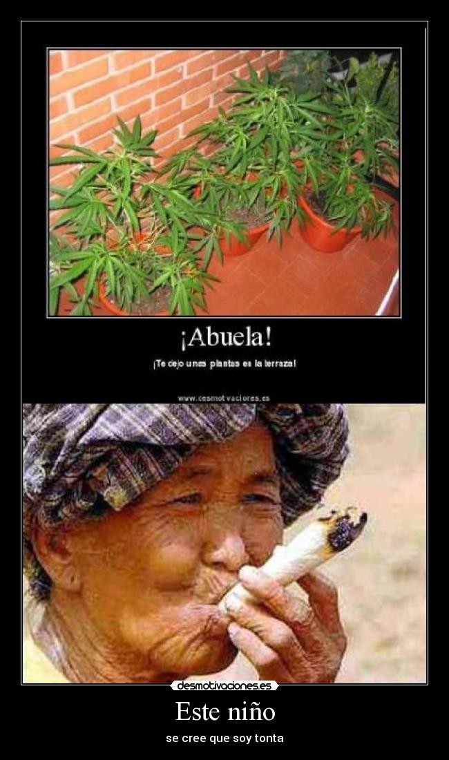 carteles abuela marihuana tonto desmotivaciones