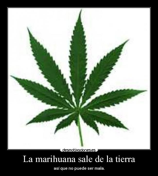 La marihuana sale de la tierra - así que no puede ser mala.
