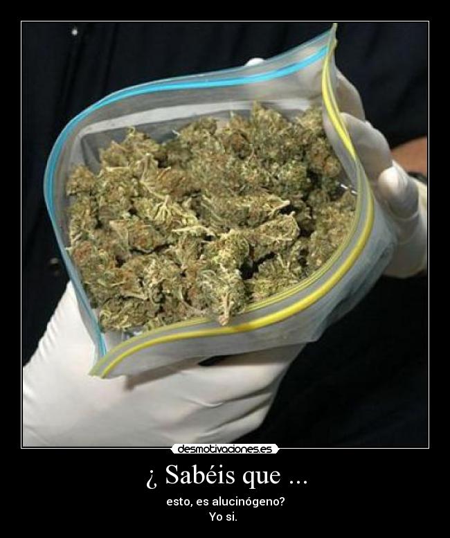 ¿ Sabéis que ... - esto, es alucinógeno?
Yo si.