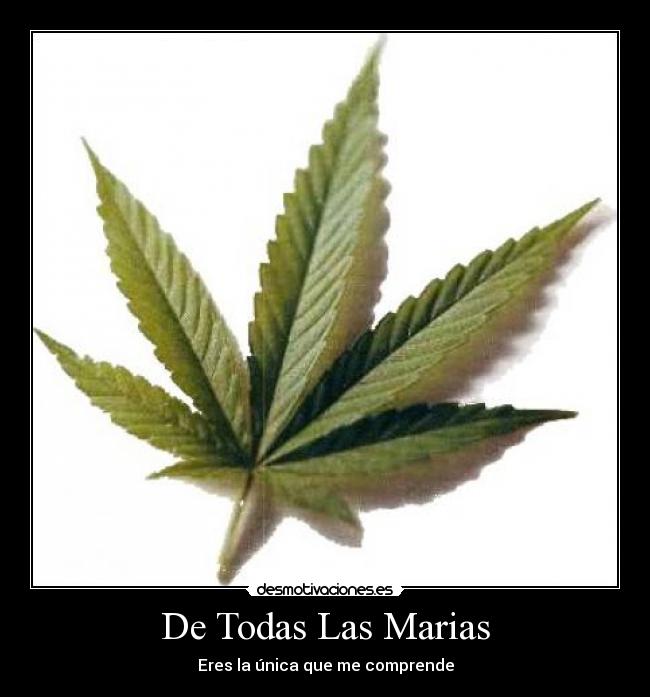 De Todas Las Marias -