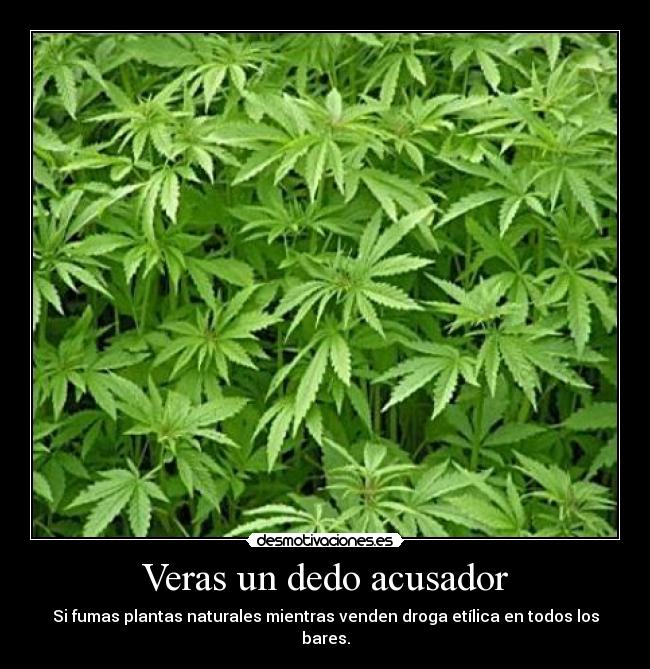 Veras un dedo acusador - 