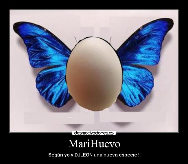 MariHuevo -