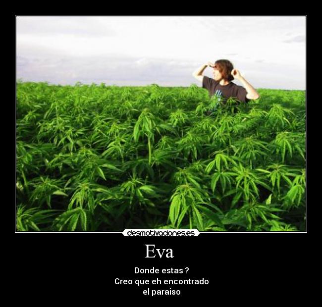 Eva  - 