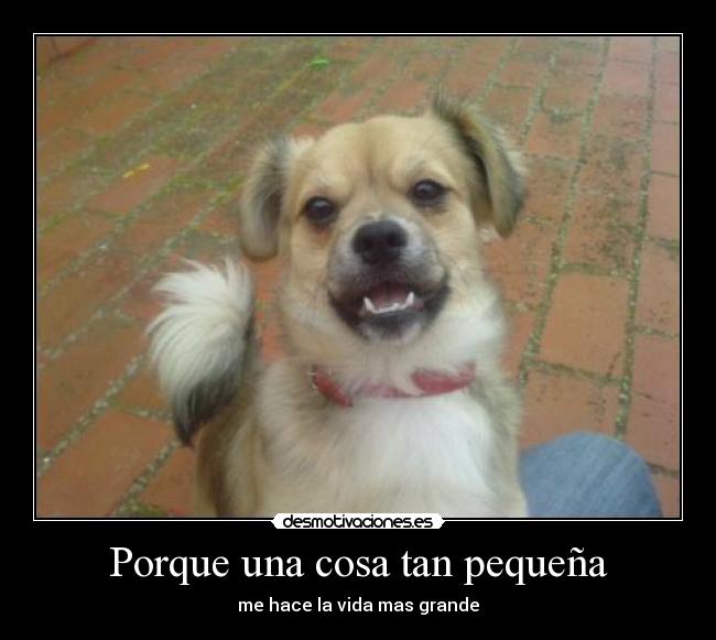 Porque una cosa tan pequeña -