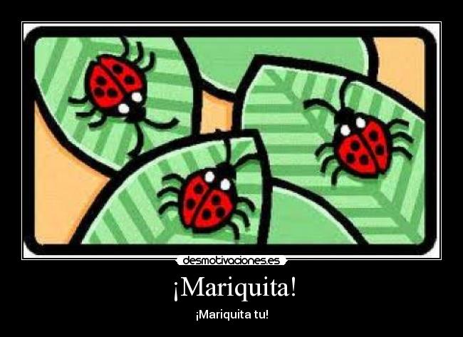 carteles mariquita desmotivaciones