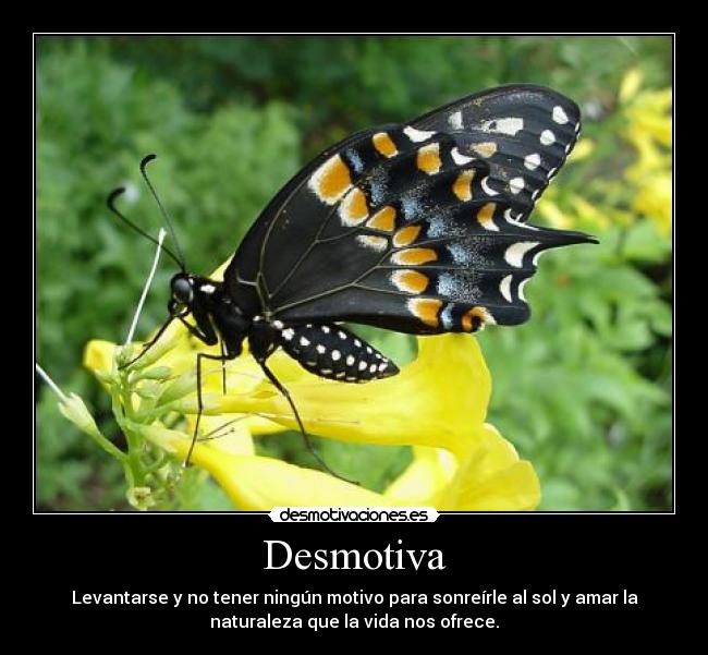 Desmotiva -