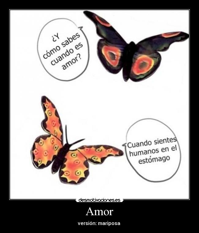 Amor - versión: mariposa 