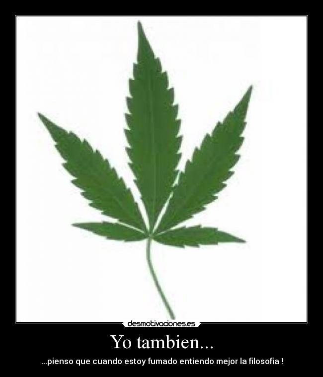 Yo tambien... - ...pienso que cuando estoy fumado entiendo mejor la filosofia !