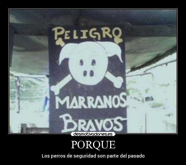 PORQUE - Los perros de seguridad son parte del pasado