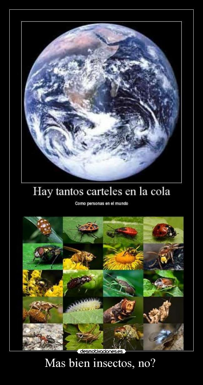 Mas bien insectos, no?  - 
