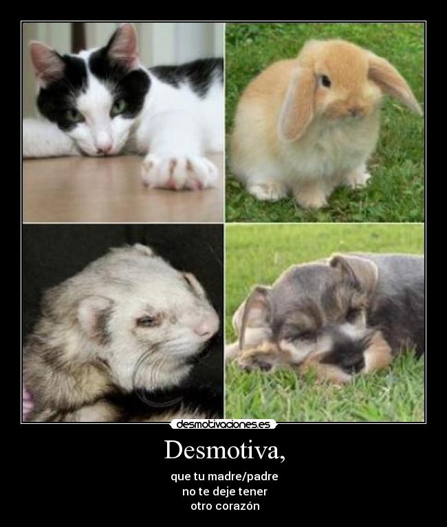 Desmotiva, - 