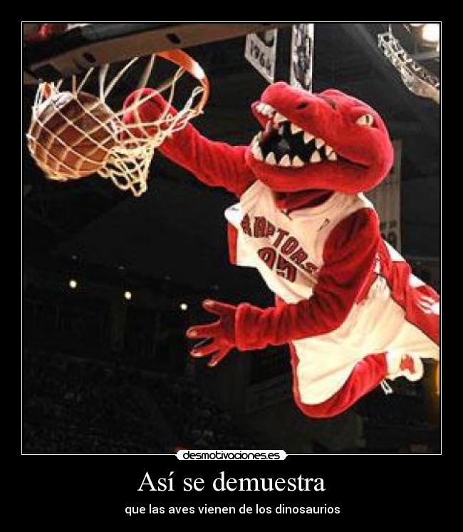 carteles baloncesto nba toronto raptors dinosaurio mascota canasta mate aves pajaros desmotivaciones