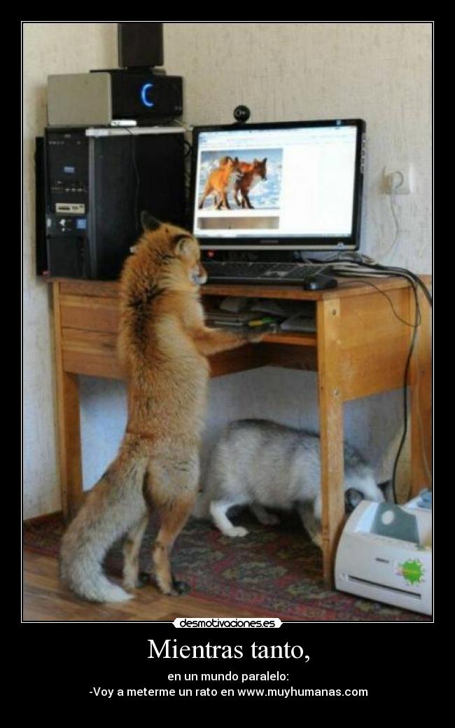Mientras tanto, - en un mundo paralelo:
-Voy a meterme un rato en www.muyhumanas.com