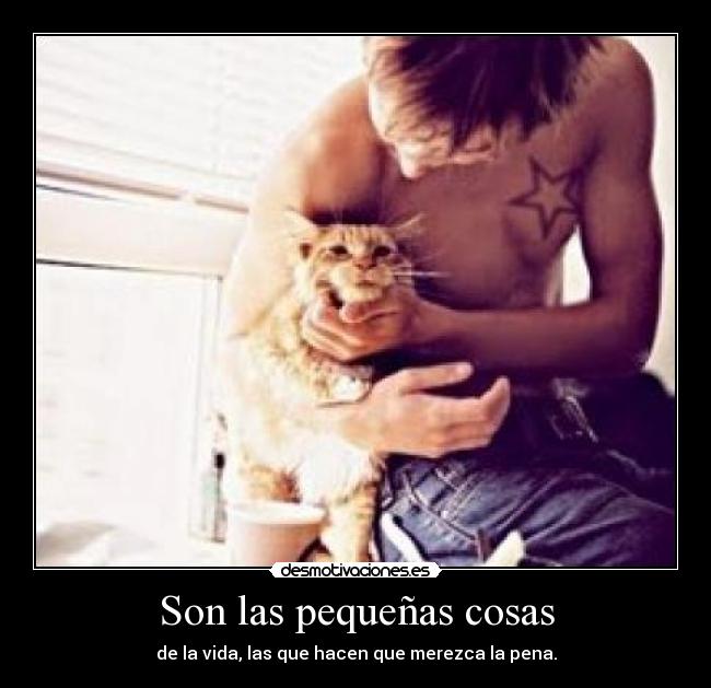 Son las pequeñas cosas - de la vida, las que hacen que merezca la pena.