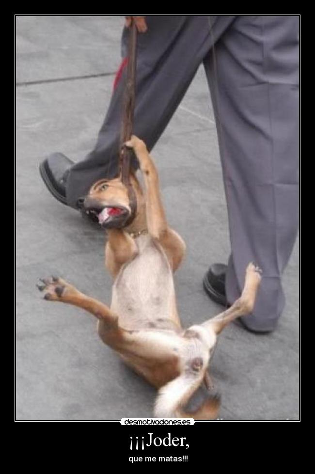 ¡¡¡Joder, -
